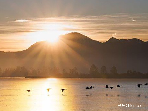 Monatsstartbild Januar 2025 Sonnenaufgang am 1.Januar-2025
