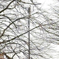 Weißstorch - Suchbild