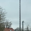 Weißstorch