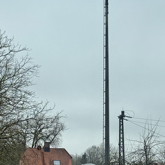Weißstorch