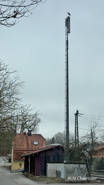 Weißstorch
Mit einem Klick! zur Fotogeschichte mit weiteren Bildern
Alter Rimstinger Bahnhof / 16.03.2025 / Foto: Hans Fritz
AktNatBeo-250316-fh-Weissstorch-Rimsting-IMG_3818-1800pix_h.jpg
