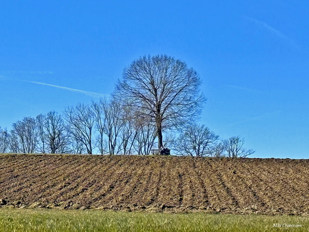 Ruheplatzl bei Burgersdorf