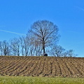 Ruheplatzl bei Burgersdorf