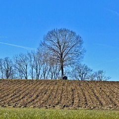 Ruheplatzl bei Burgersdorf