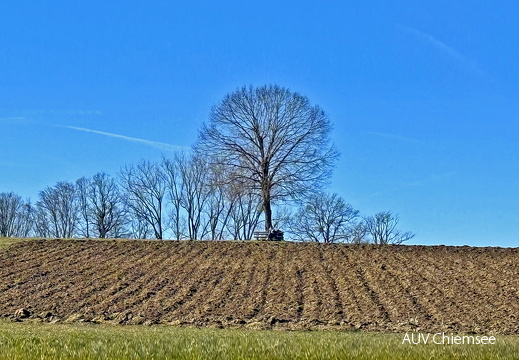 Ruheplatzl bei Burgersdorf