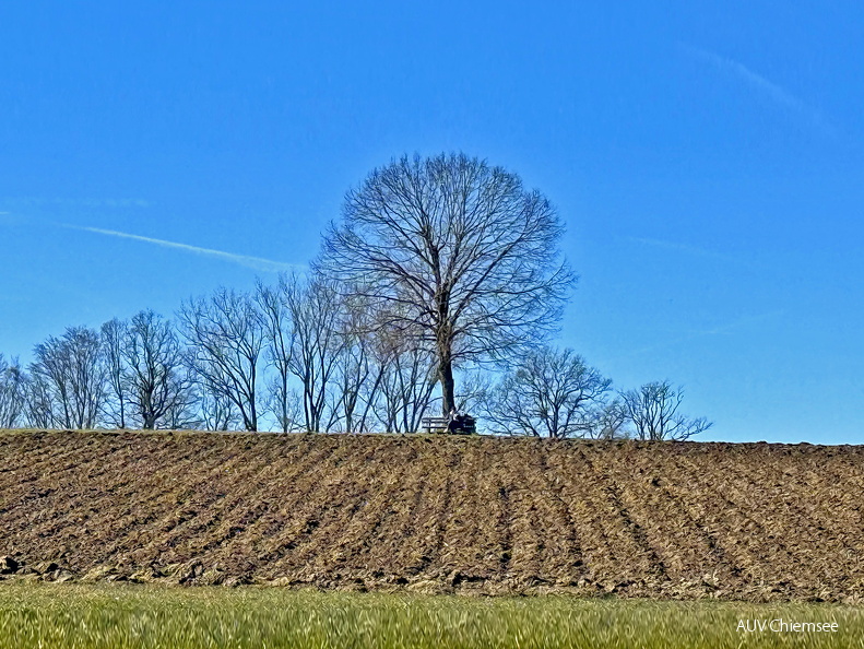 Ruheplatzl bei Burgersdorf