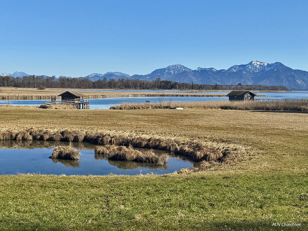 im Schafwaschener Winkel