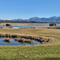im Schafwaschener Winkel