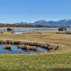 im Schafwaschener Winkel