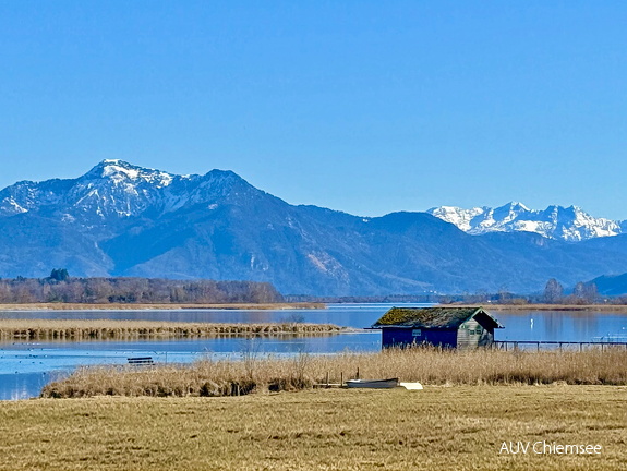 Schafwaschener Winkel mit Chiemgauer Alpen