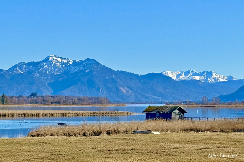 Schafwaschener Winkel mit Chiemgauer Alpen
Mit einem Klick! zur Fotogeschichte mit weiteren Bildern
Schafwaschen, Rimsting / 9.03.2025 / Foto: Hans Fritz
AktNatBeo-250309-fh-03-Schafwaschener-Winkel-IMG_3858-1500pix.jpg