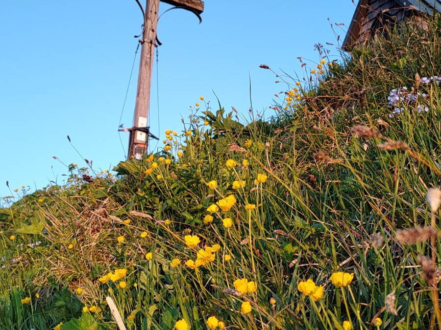 Blumenberg Geigelstein