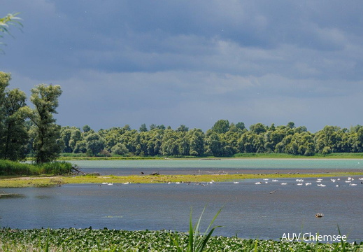 Karibische Farben in der Hirschauer Bucht