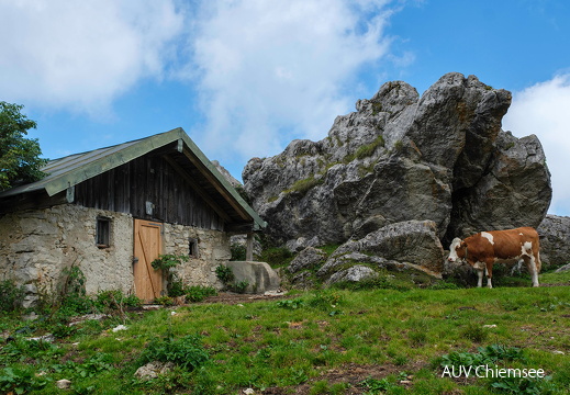 Almhütte unterhalb der Kampenwand