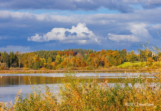 Hirschauer Bucht in Herbstfärbung
