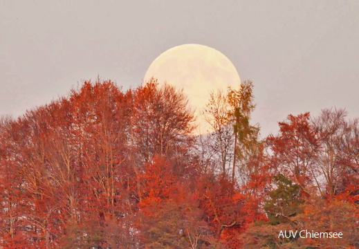 Monatsstartbild November 2025 Riesenmond