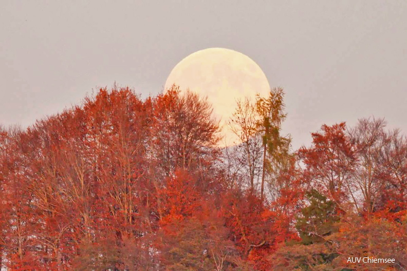AktNatBeo-251105-ja-10-Mond-Ausschnitt_0-1500pix.jpg
