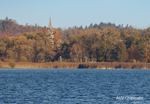 Seebrucker Kirchturm & Beobachtungsturm im Kurpark