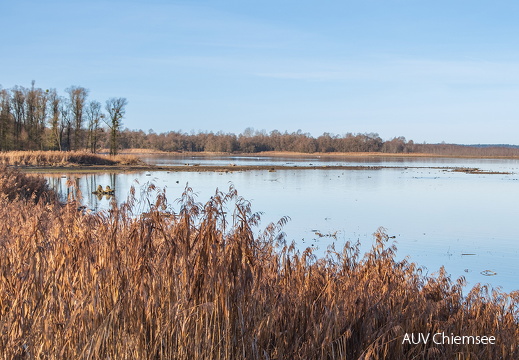 Hirschauer Bucht mit Delta der Tiroler Achen