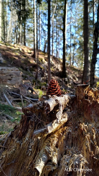 AktNatBeo-251222-ja-2 Spechtschmiede.jpg