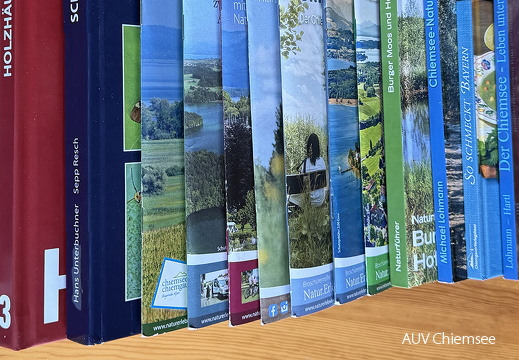 FotAlb-Hefte,Broschüren,Bücher-1140x760pix