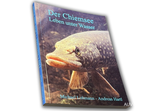 FotAlb-Album-HeBrBü-Leben-unter-Wasser-MiLo+AH-2025 12 26-1140x760pix