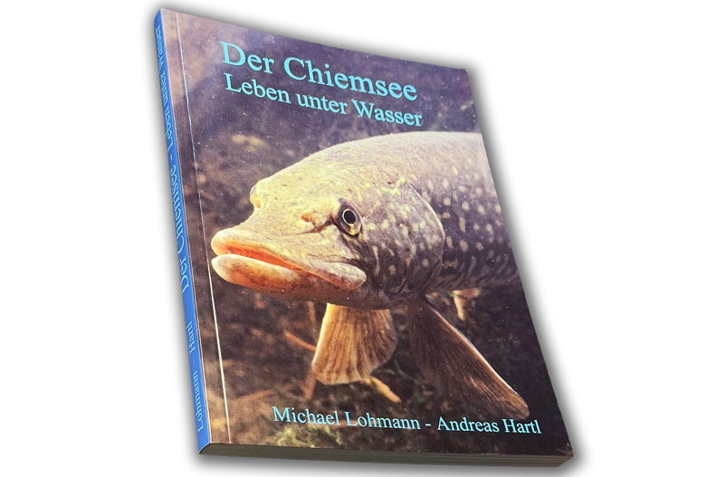 FotAlb-Album-HeBrBü-Leben-unter-Wasser-MiLo+AH-2025_12_26-1140x760pix.jpg