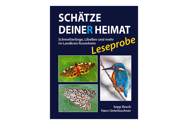SCHÄTZE-DEINER-HEIMAT-LESEPROBE-2025_11_28-1140x760pix.jpg