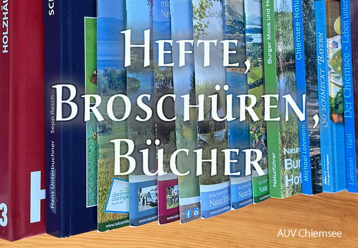 FotAlb-Hefte,Broschueren,Buecher-1140x760pix-2025 12 30