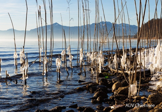 Neujahrsmorgen am Malerwinkel