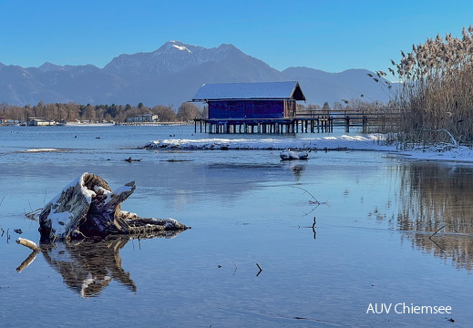 winterlicher Chiemsee am Schöllkopf