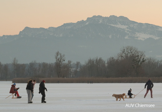 Wintertreiben auf der Schafwaschener Bucht
