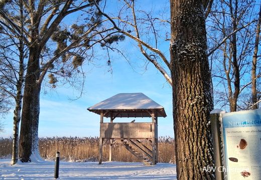Naturbeobachtungsturm im Kurpark Seebruck