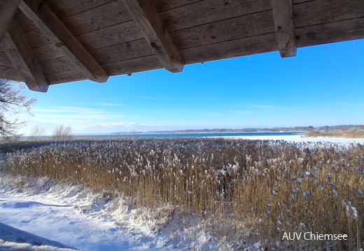 Ausblick vom Beobachtungsturm Seebruck