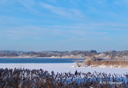 Ausblick vom Beobachtungsturm Seebruck