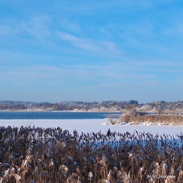 AktNatBeo-260111-nb- Ausblick vom SB-Turm-1500x1500pix.jpg