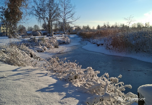Wasserlauf im Seebrucker Kurpark