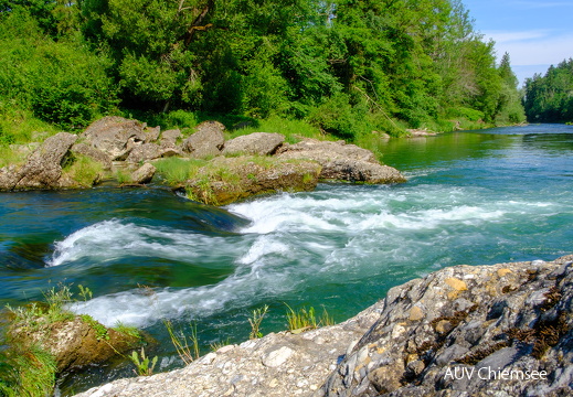 Alz Wildwasser