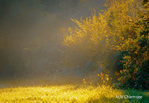 herbstliche Morgenstimmung