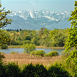 CRL_17-Hagenau-HZ150pix.jpg